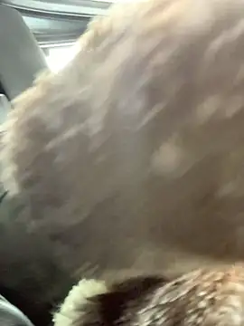 Emily-Fire online show from 03/05/26, 07:21