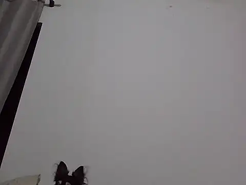 Snapshot of machodotado97 chatting on 03/02/26, 05:41 machodotado97 online show from 03/02/26, 05:41