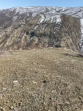 TurkeyMen online show from 03/03/26, 10:10