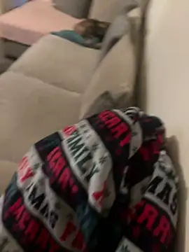 Snapshot of Crevette311 chatting on 11/25/25, 11:21 Crevette311 online show from 11/25/25, 11:21