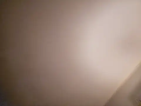 Schlongo420 online show from 01/23/25, 12:41