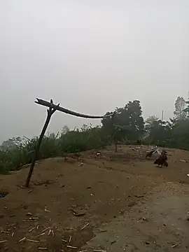 Nth5h online show from 03/30/26, 10:55