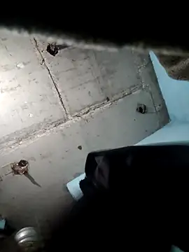 M Lisha online show from 02/25/26, 06:39