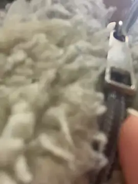 angell cooper8 online show from 03/22/26, 12:19