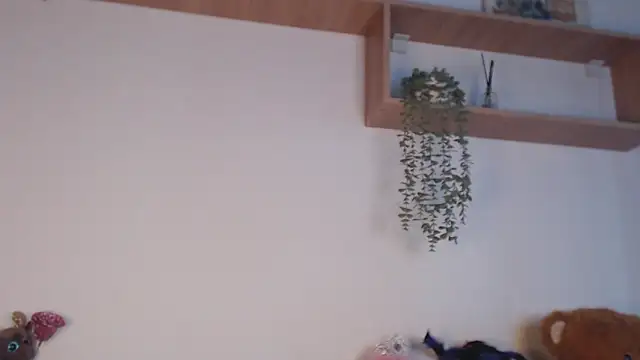 SPICYKC online show from 04/07/26, 03:01