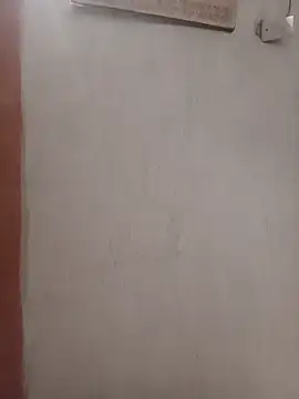negopreto  online show from 07/19/26, 02:48