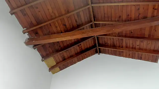 TonyPetrovjs online show from 03/15/26, 07:36