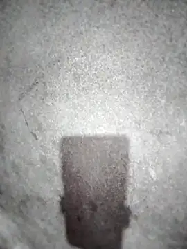 ngocbao11 online show from 03/10/26, 12:54