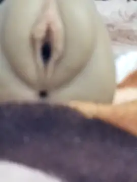 Snapshot of Mikecrazyhy chatting on 02/25/26, 03:16 Mikecrazyhy online show from 02/25/26, 03:16