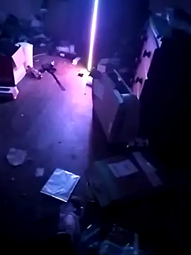 Snapshot of cexcitef chatting on 03/03/26, 12:28 cexcitef online show from 03/03/26, 12:28