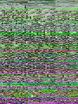 Snapshot of kana_0012 chatting on 03/07/26, 12:51 kana 0012 online show from 03/07/26, 12:51