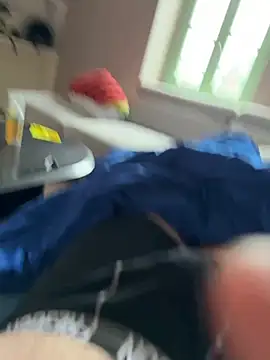 foudesexe23 online show from 03/11/26, 01:39