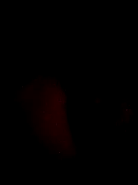 juanjonac online show from 05/18/26, 02:29
