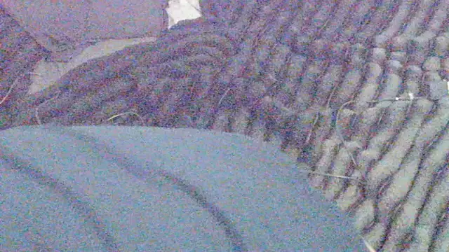 elong007 online show from 04/01/26, 03:53