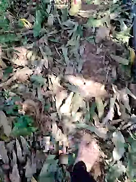 blackbeauty321 online show from 03/03/26, 09:04