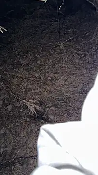 salfetka sex online show from 03/23/26, 05:17