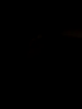 angelmelody69 online show from 04/30/26, 02:40