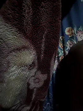 rmriya online show from 02/27/26, 04:40