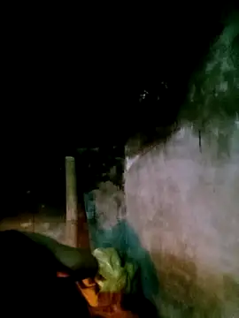 elen8800 online show from 03/01/26, 11:34