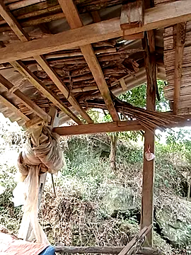 elen8800 online show from 04/14/26, 04:07