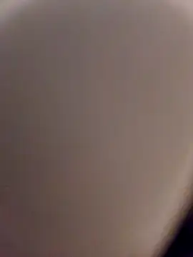 Snapshot of skynct2007 chatting on 02/24/26, 05:38 skynct2007 online show from 02/24/26, 05:38