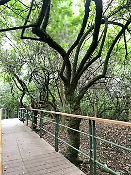 Snapshot of The_Conquer chatting on 04/10/26, 06:34 The Conquer online show from 04/10/26, 06:34