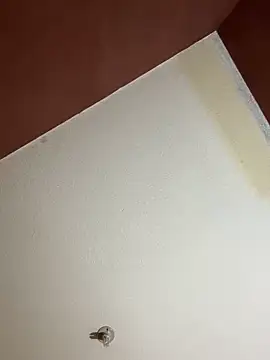 MoonGoddess424 online show from 02/24/26, 04:10