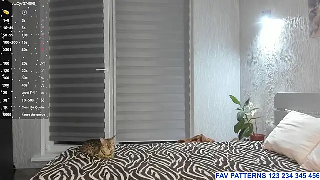 SophieShyy online show from 07/23/26, 07:23