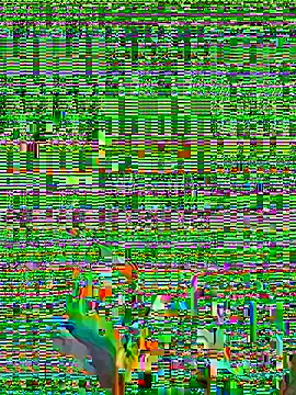 micosilpro online show from 03/08/26, 03:49