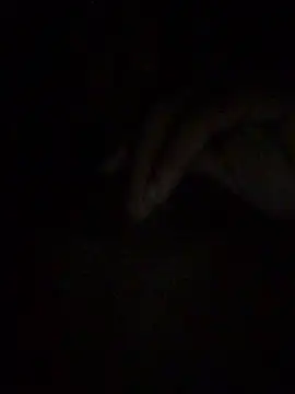 gostinhopauzudo online show from 03/22/26, 03:21