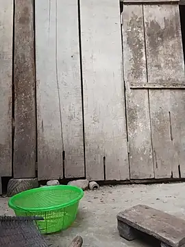 rinrin7700 online show from 04/16/26, 10:16