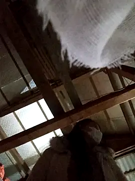 Heylen hooo online show from 03/16/26, 02:32