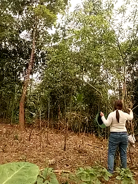 lyly sexx online show from 03/28/26, 01:05