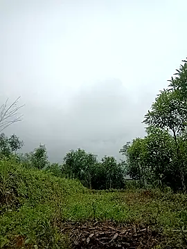 lyly sexx online show from 04/02/26, 02:20