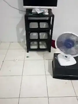 Snapshot of xxxputinhaxxxx chatting on 02/26/26, 02:16 xxxputinhaxxxx online show from 02/26/26, 02:16