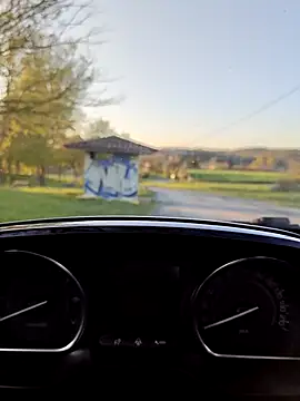 lui8181 online show from 03/23/26, 05:39