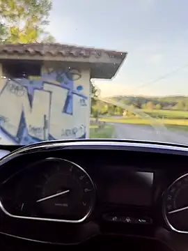 lui8181 online show from 04/17/26, 05:49