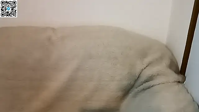  ZaneX online show from 04/09/26, 07:30