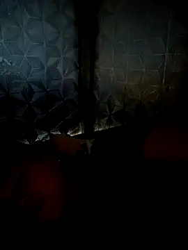 dualeo11 online show from 03/30/26, 11:06