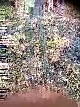 Ambala1 online show from 04/21/26, 01:42