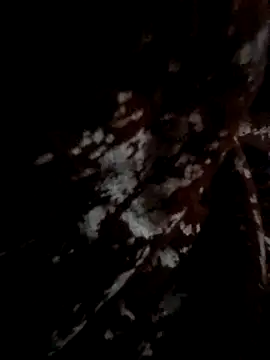 Couple hot999 online show from 03/04/26, 02:56