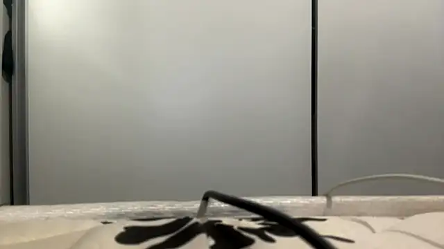 LatoshaLipitz online show from 03/06/26, 04:36