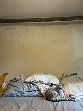 Secret Ladyx online show from 06/08/26, 11:21