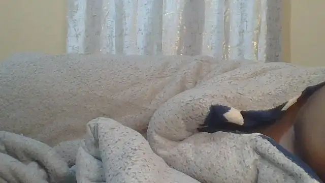 Snapshot of ndivhuwomuleya chatting on 07/24/26, 03:37 ndivhuwomuleya online show from 07/24/26, 03:37