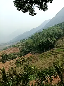 Yuhi3d online show from 04/14/26, 03:45