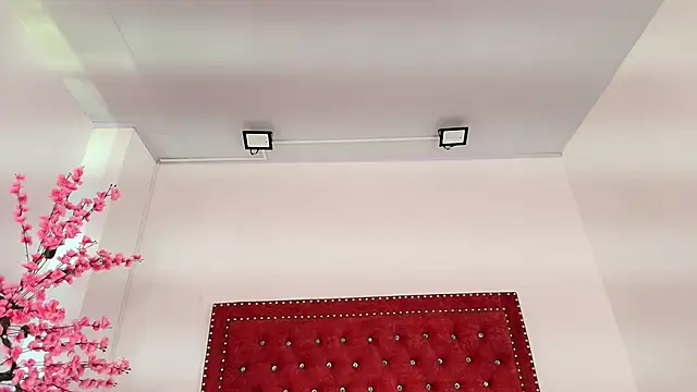 Daphne glas online show from 04/01/26, 01:41