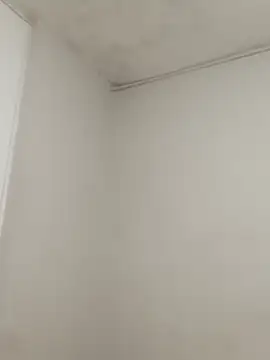 hacheshx online show from 03/17/26, 09:56