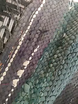 King night1 online show from 04/12/26, 01:21