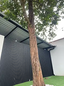 Bella-Ferrer online show from 03/14/26, 06:24