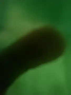 Snapshot of ffgffefgg chatting on 03/12/26, 12:39 ffgffefgg online show from 03/12/26, 12:39